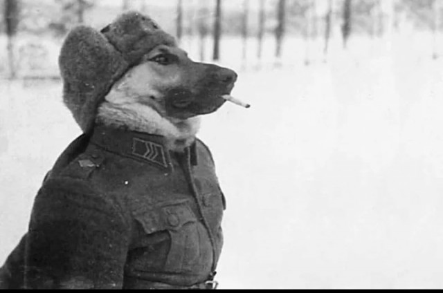 Пост с картинками.