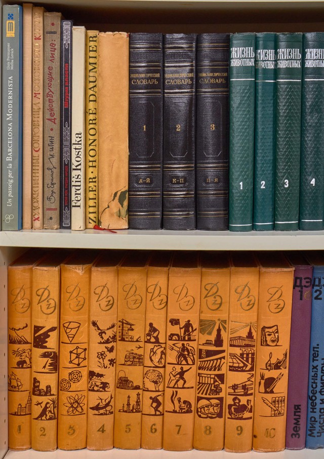 Книжные полки с книгами