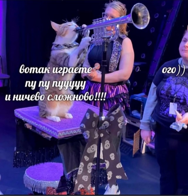 Немного картинок