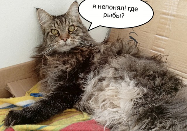 Клуб рабов пополнился
