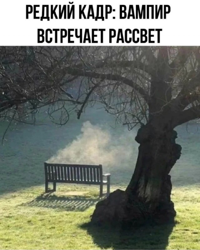 Так себе картинки 06.10.25