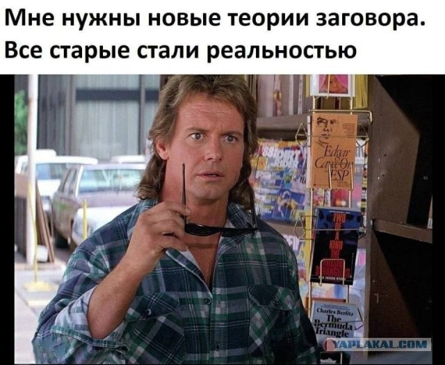 Прикольные и просто красивые картинки 07.11.2025