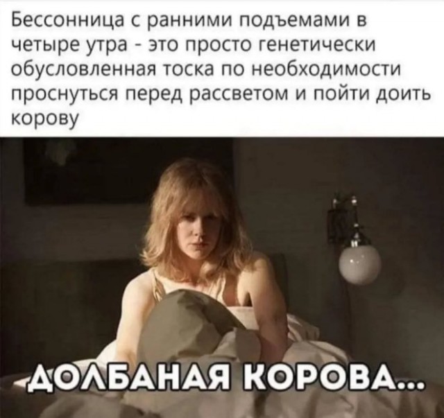 Картиночки, баянчики 10 декабря