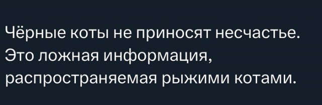 Воскресные картинки