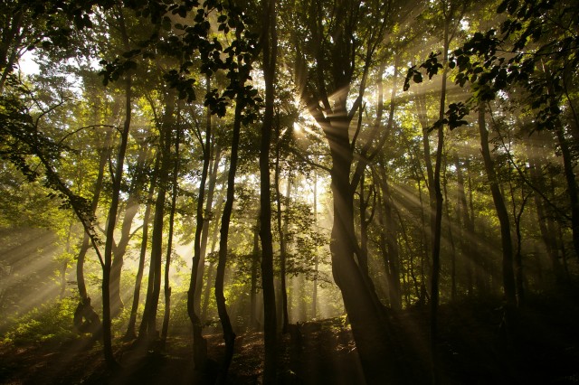 Опасное хобби моего мужа