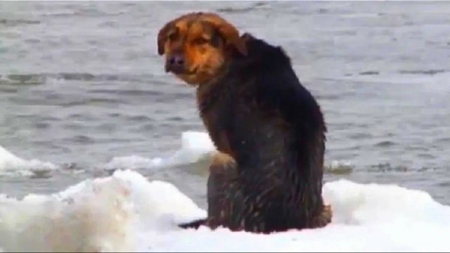 Сегодня не пытайтесь покинуть Омск.