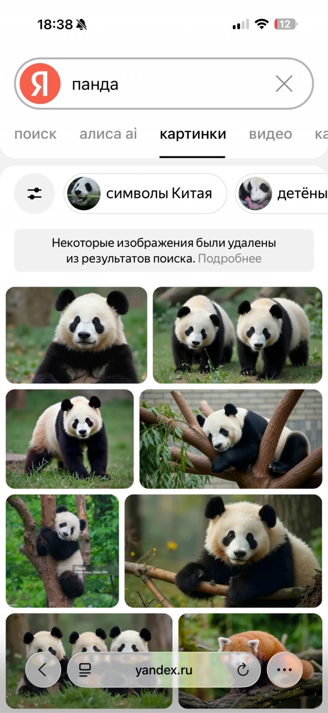 И снова панда