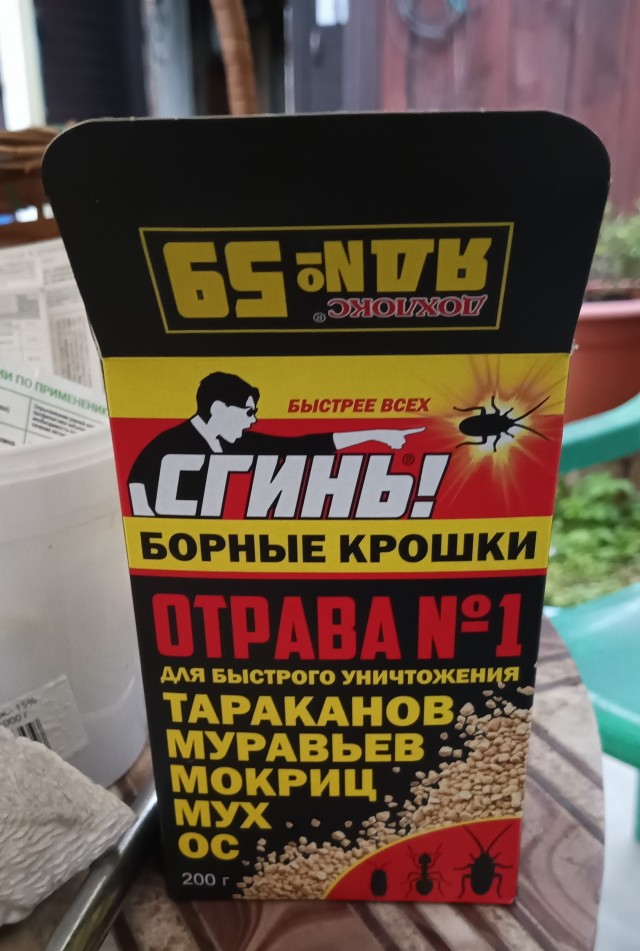 Баллиста для муравьёв