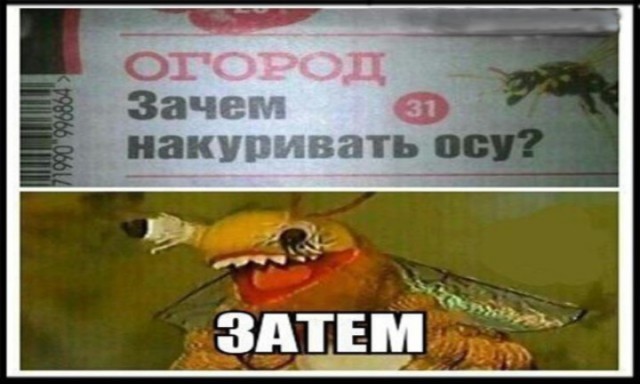 Когда дача расположена вблизи от ядерного реактора