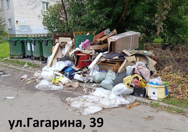 Предвыборные помойки