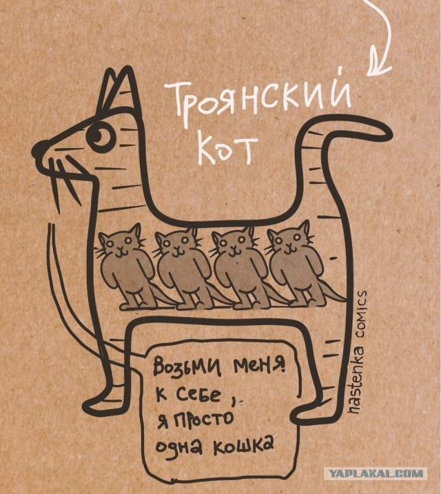 Я стал многокотным отцом