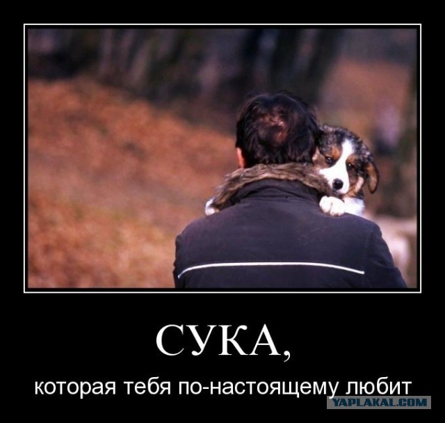 Прикалдэски