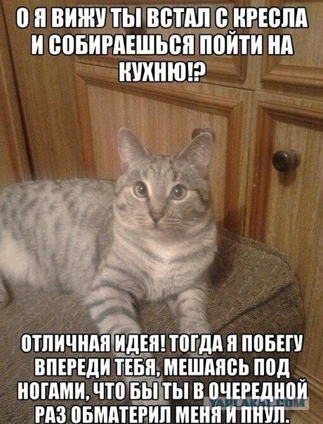 У всех так?