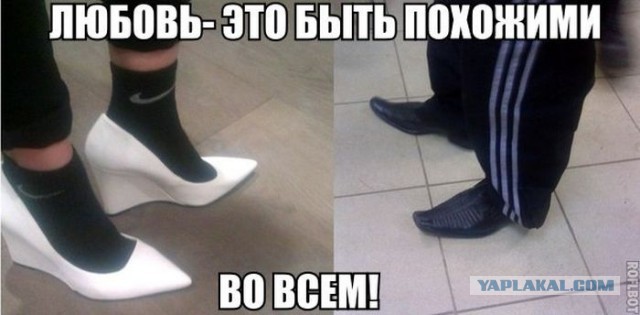 Весёлые картинки