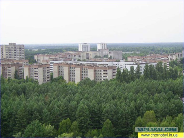 Пропагандистский миф о «ядерной зиме»