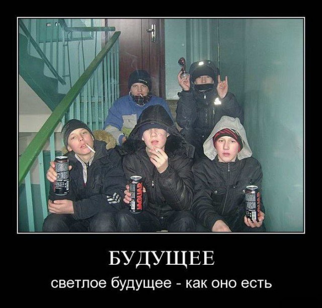 Прикольные картинки и демотиваторы