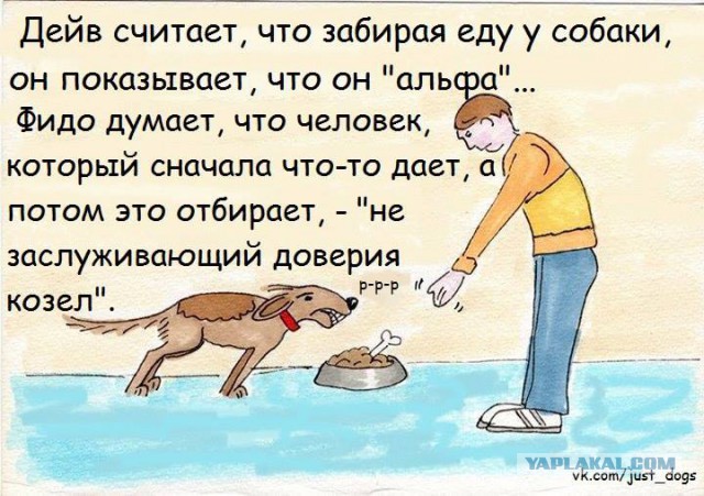 Картинки, надписи