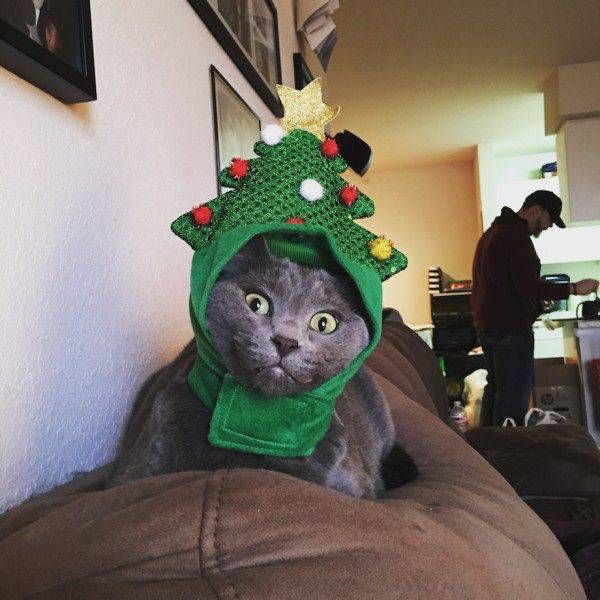 Разные картинки из сети