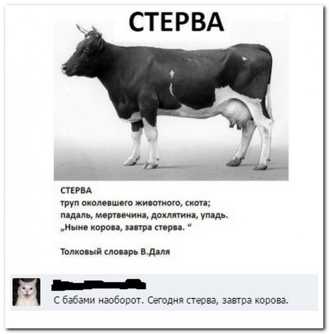 Смешные комментарии  из социальных сетей