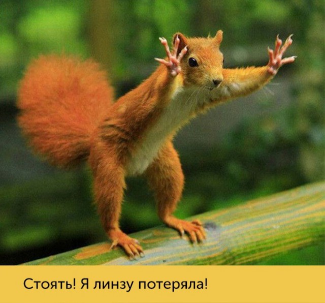 15 проблем, которые поймут только люди с плохим зрением