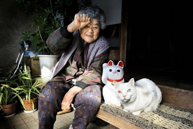 Бабушка и её кошка