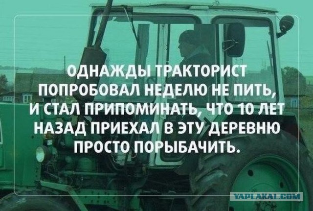 Ассорти картинок из сети