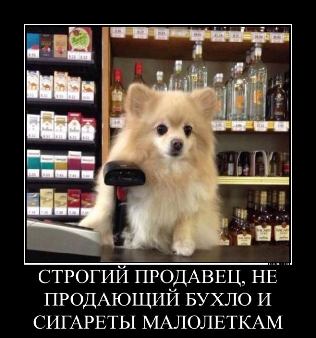 Картинки. Интересные, старые и не очень.