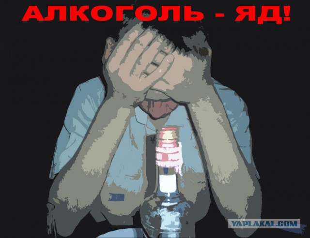 Алкогольный юмор 18+