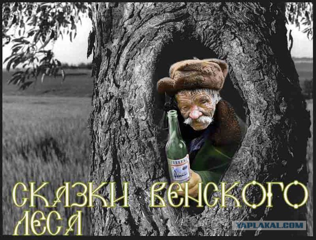 Деградации ЯПу
