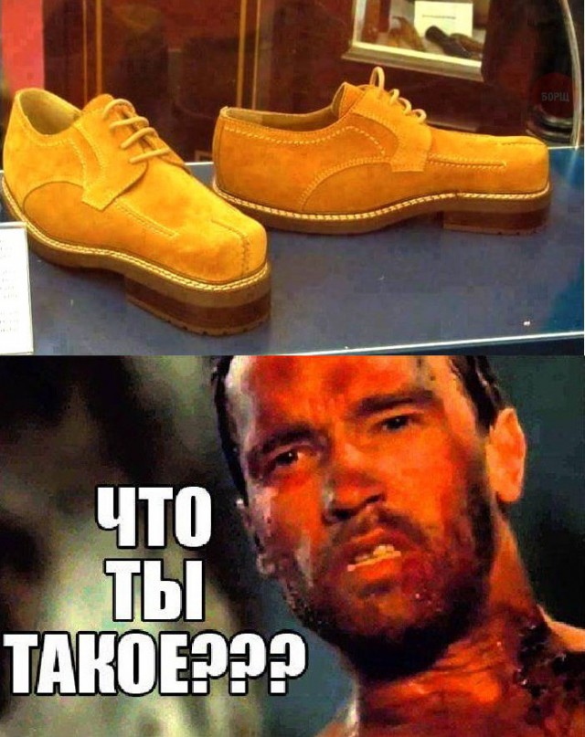 Смешные картинки