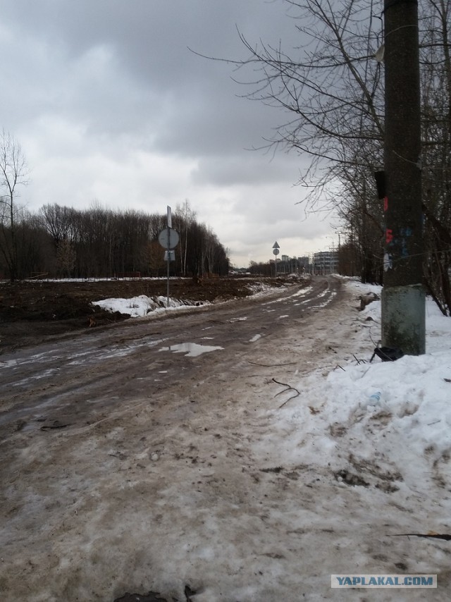 Квартира в доме, который попал под реновацию