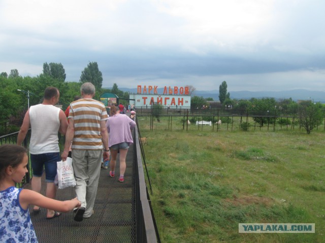 Очередной отпуск Сочи - Абхазия - Крым