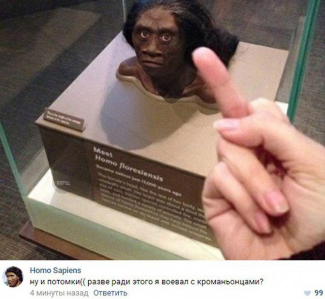 Подборка интересных и веселых картинок