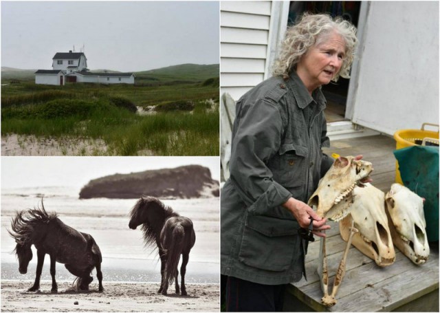 Женщина 40 лет живёт в одиночестве на удаленном острове, покрытом туманами 127 дней в году