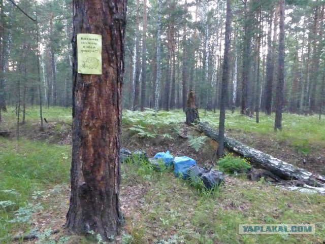 За день природу не спасти, но постараться ты обязан!