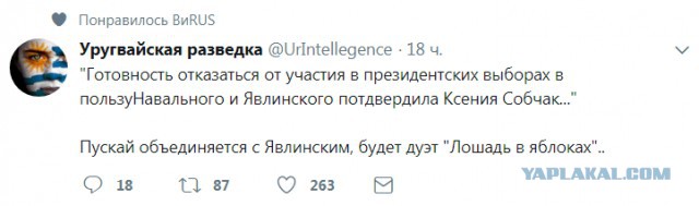 Смешные комментарии из социальных сетей 22.12.2017