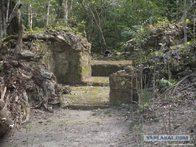Ученые нашли в Гватемале более 60 тысяч построек цивилизации майя