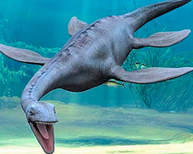 На пляж штата Джорджия выбросило останки динозавра?