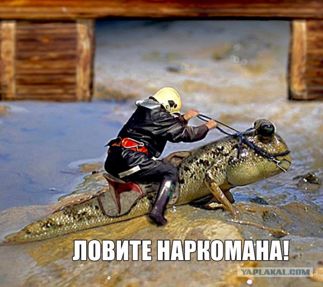 Художники, которые прославились не картинами