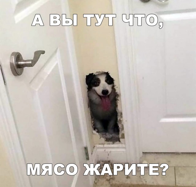 Нестандартный юмор