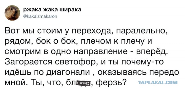 Смешные комментарии из социальных сетей 14.12.2018