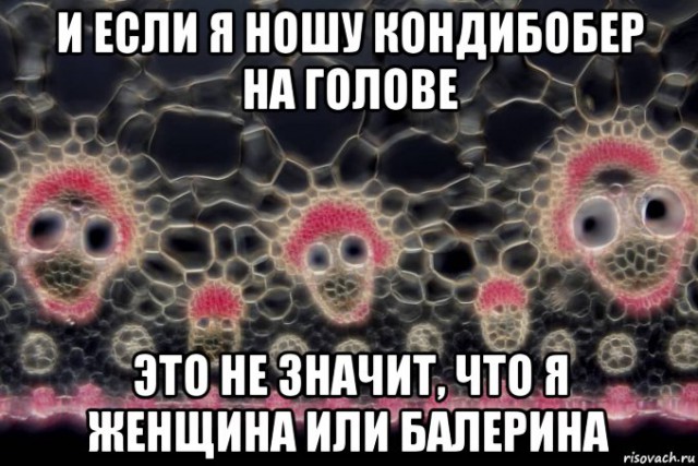 Опять микроскопные картиночки.