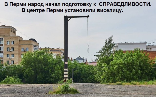 В Архангельске повесили чучело с подписью «Когда же вы нажрётесь, чайки?»