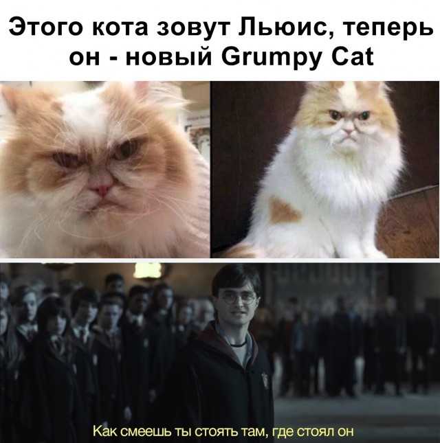 Картинки разные нужны, картинки всякие важны