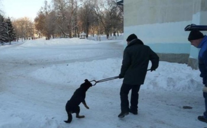 Взросление