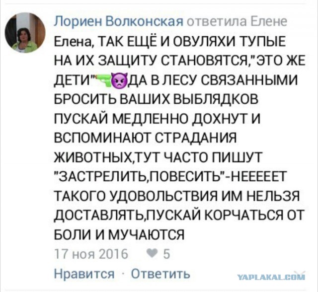 Почему люди не любят зоо(защитников)шизу?