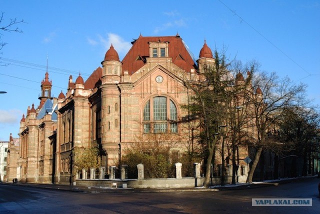 Почтенный Оксфорд