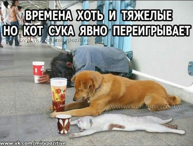 Джокер был прав