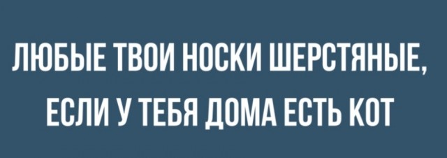 Бредзона 22.03.20