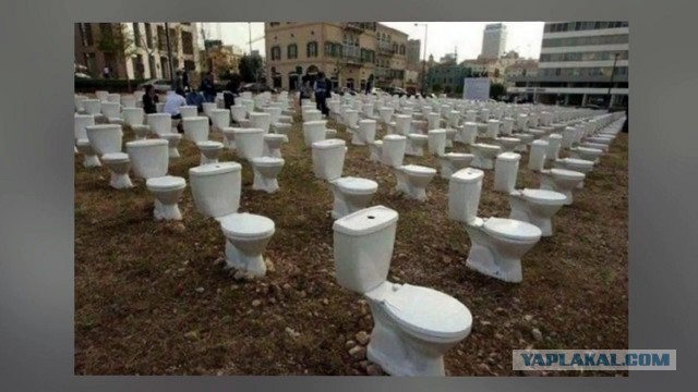 Муки выбора унитаза
